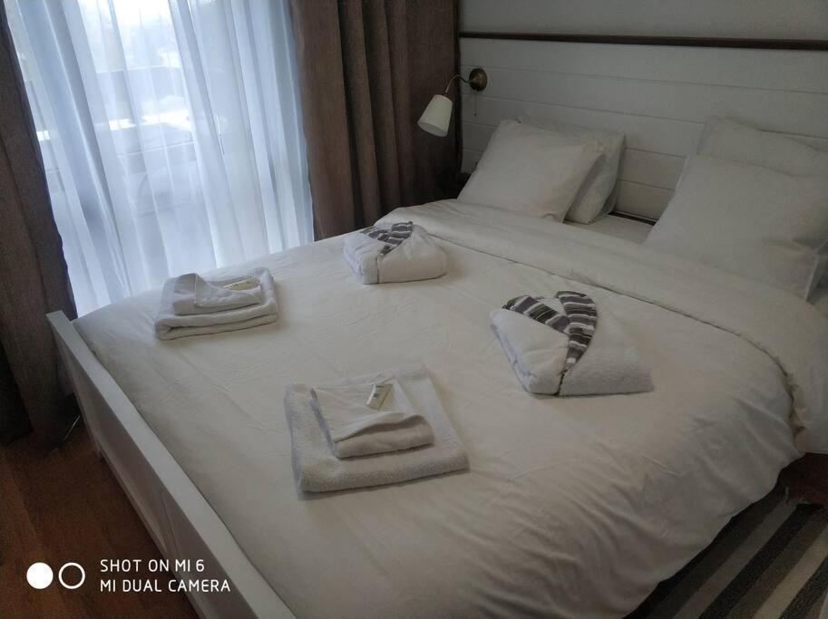 Belvedere Holiday Club 106G Μπάνσκο Εξωτερικό φωτογραφία